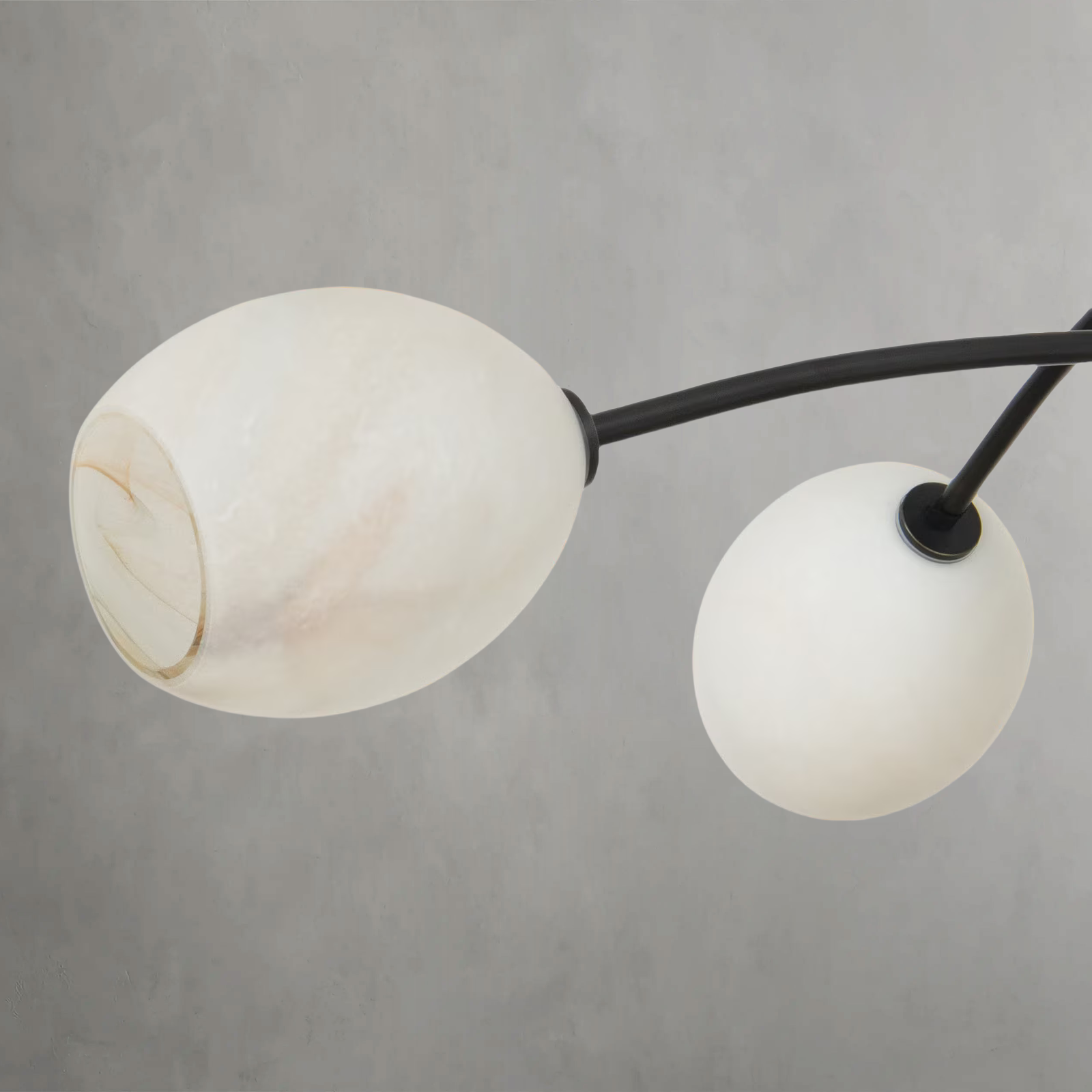 Daphne Bronze Gypsum glass Chandelier
