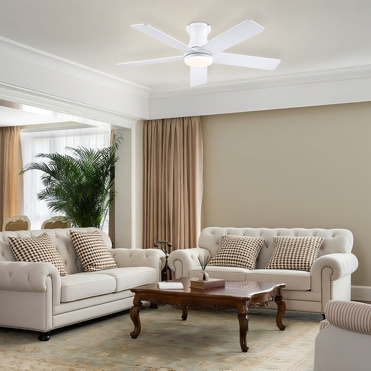 AeroElegance Ceiling Fans with Lights