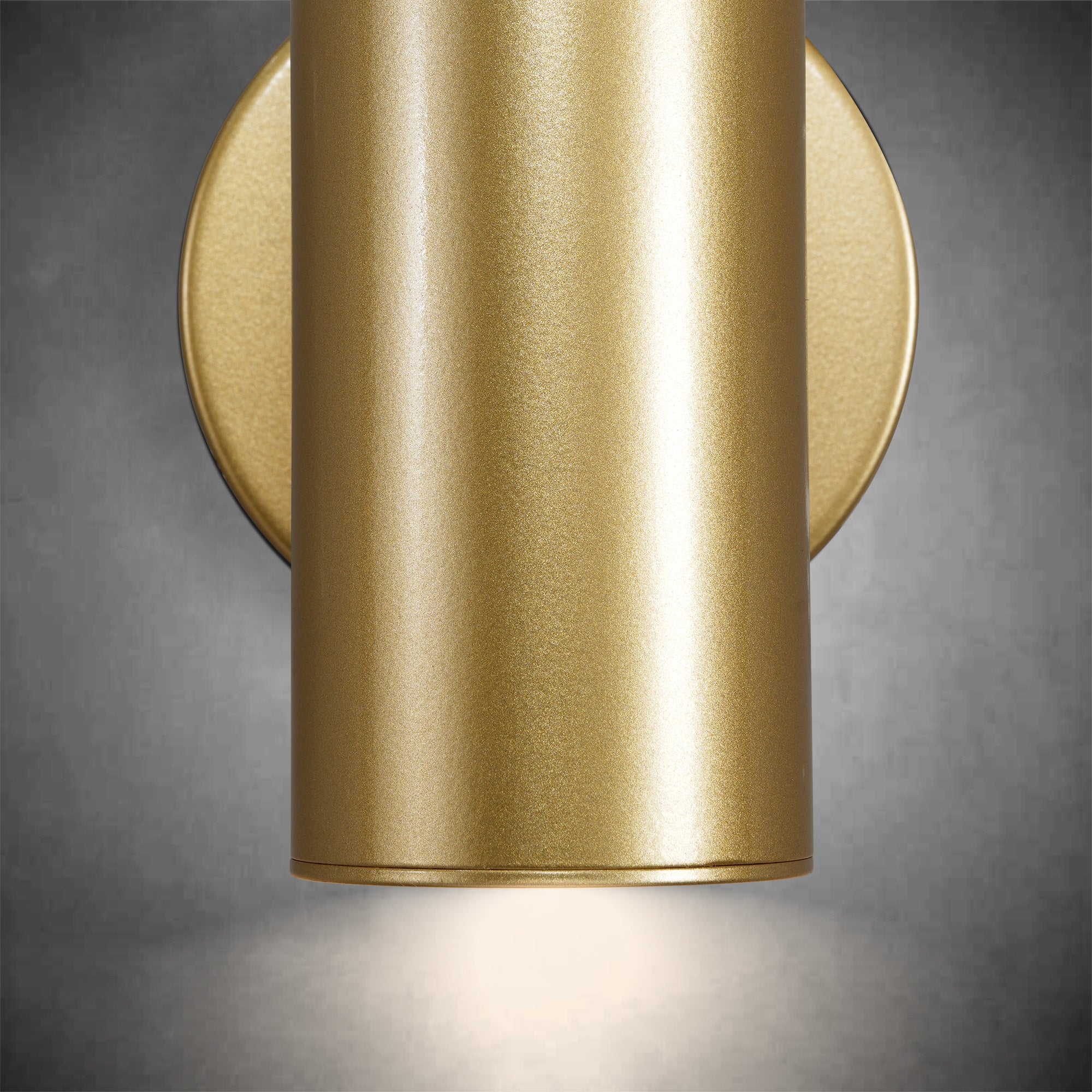 Gold Brass Picture Light Sconce with Adjustable LED