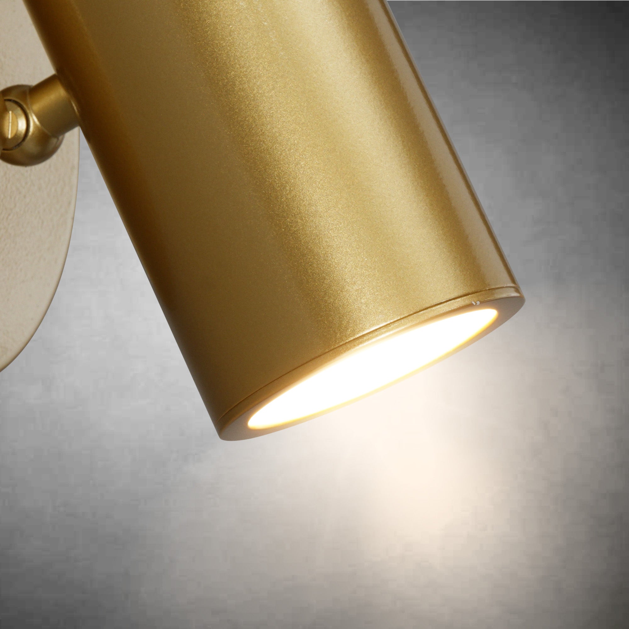 Gold Brass Picture Light Sconce with Adjustable LED