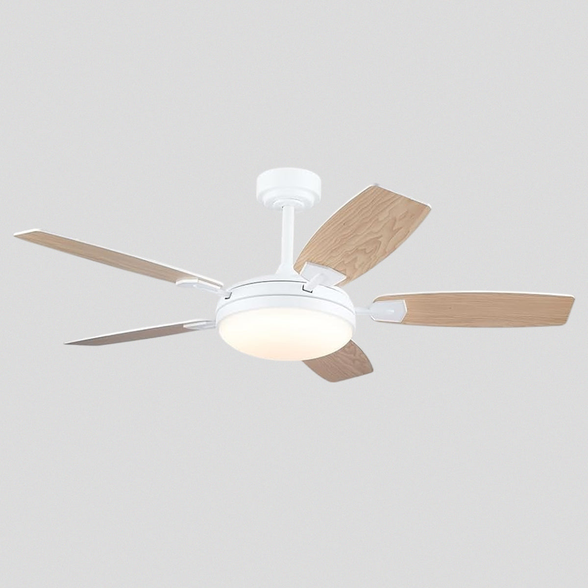 Zephyra Ceiling Fans with Lights 52"