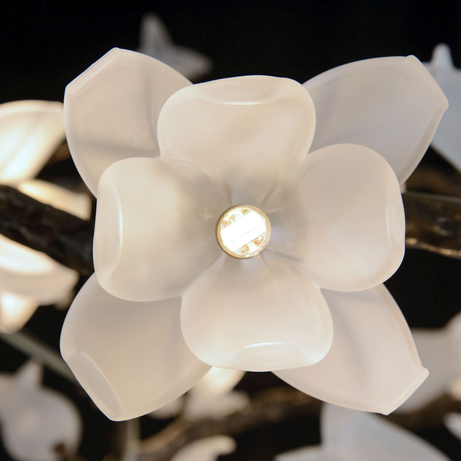 Tulip Glass Bronze Oblong Nineteen-Light Chandelier