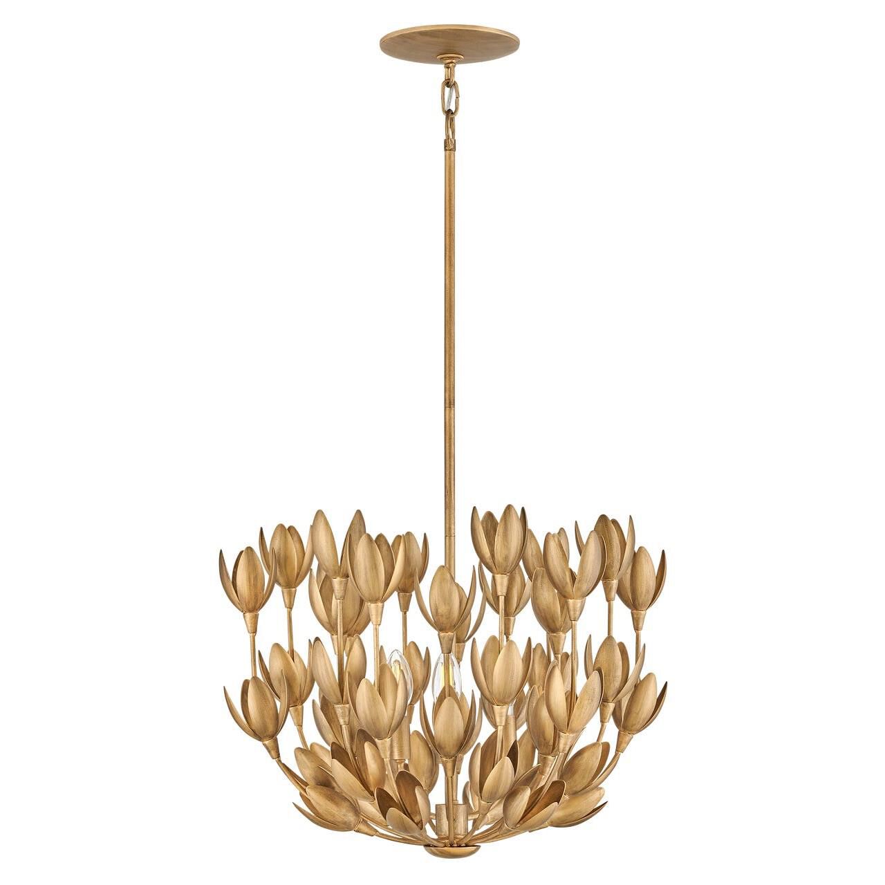 https://www.1800lighting.com/dw/image/v2/BCFP_PRD/on/demandware.static/-/Sites-masterCatalog_capitollighting/default/dwdef88f69/images/original/Hinkley-Lighting_30011bng_NoCS78609x12132022NoCE.jpg
