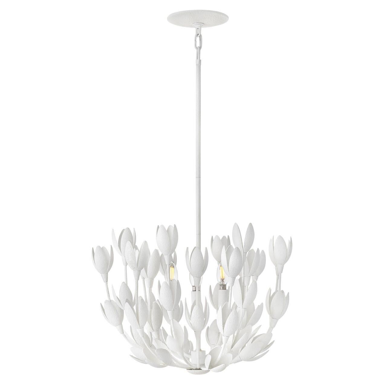 https://www.1800lighting.com/dw/image/v2/BCFP_PRD/on/demandware.static/-/Sites-masterCatalog_capitollighting/default/dw93255023/images/original/Hinkley-Lighting_30011txp_NoCS57235x12132022NoCE.jpg
