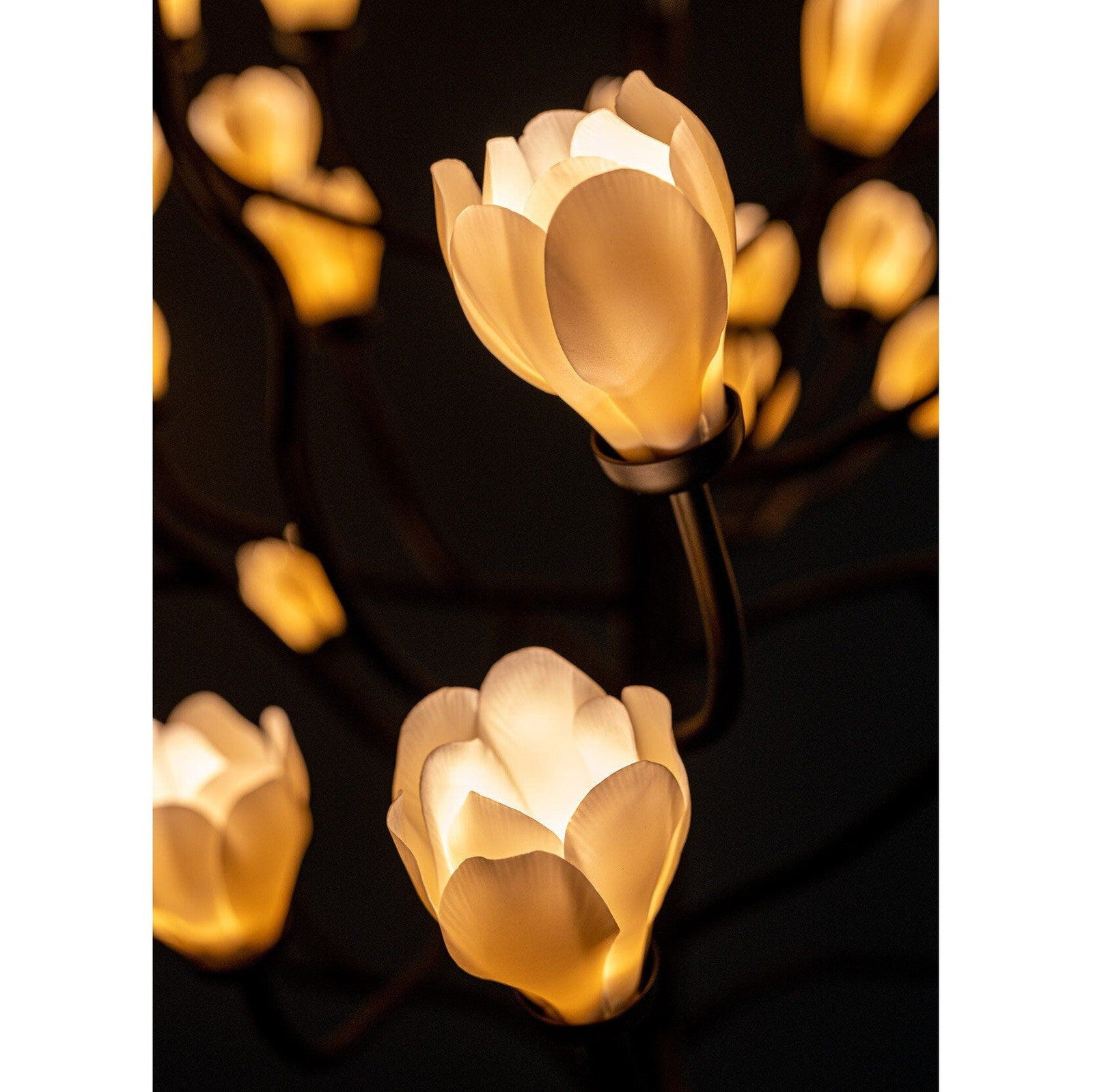 Mkuren Chandelier