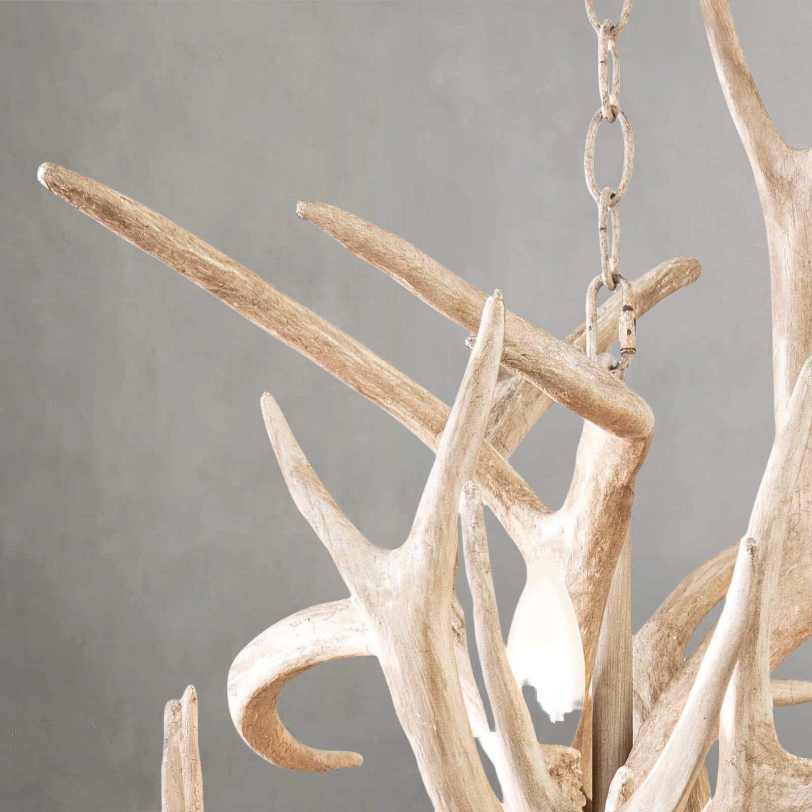 Nautine Antler Chandelier