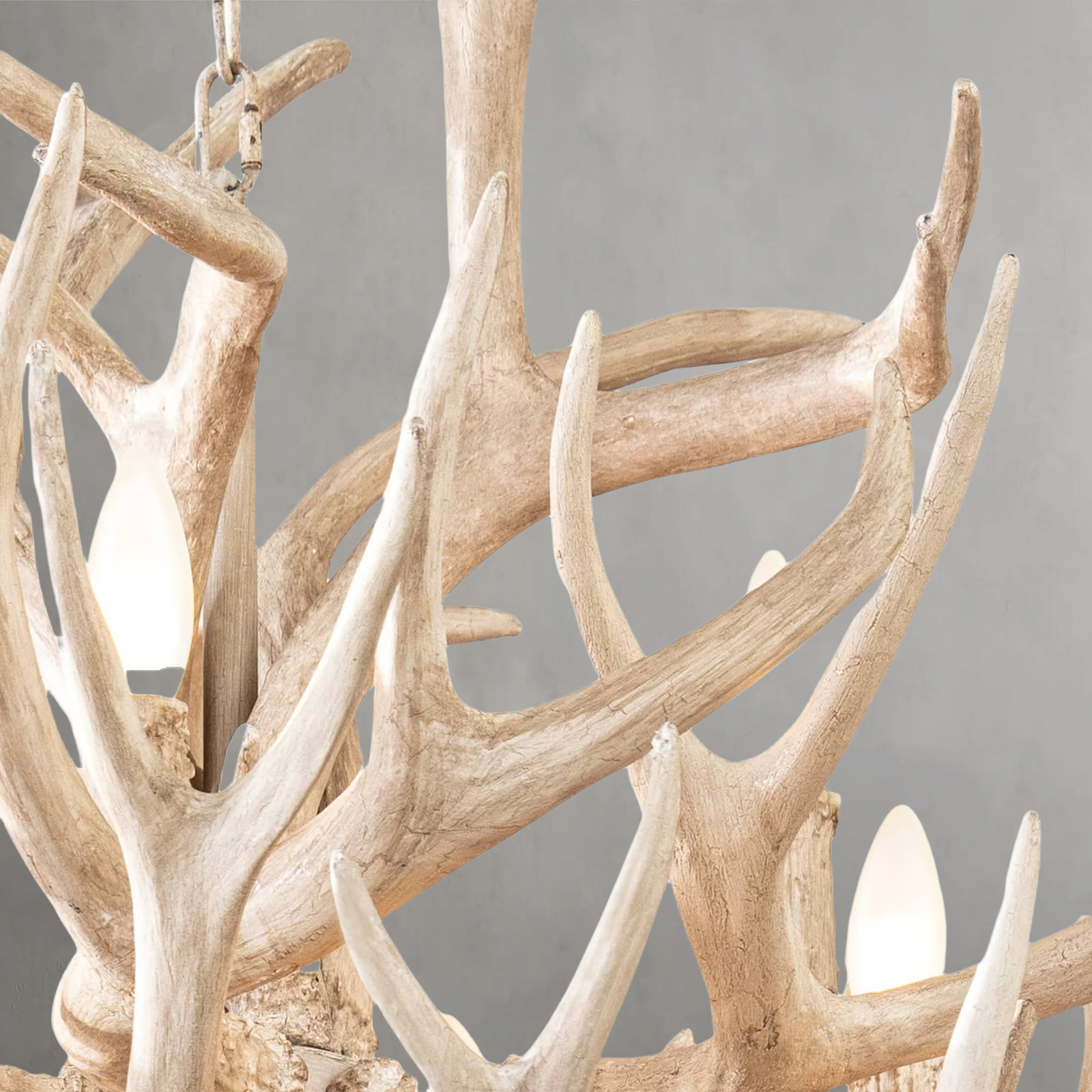 Nautine Antler Chandelier