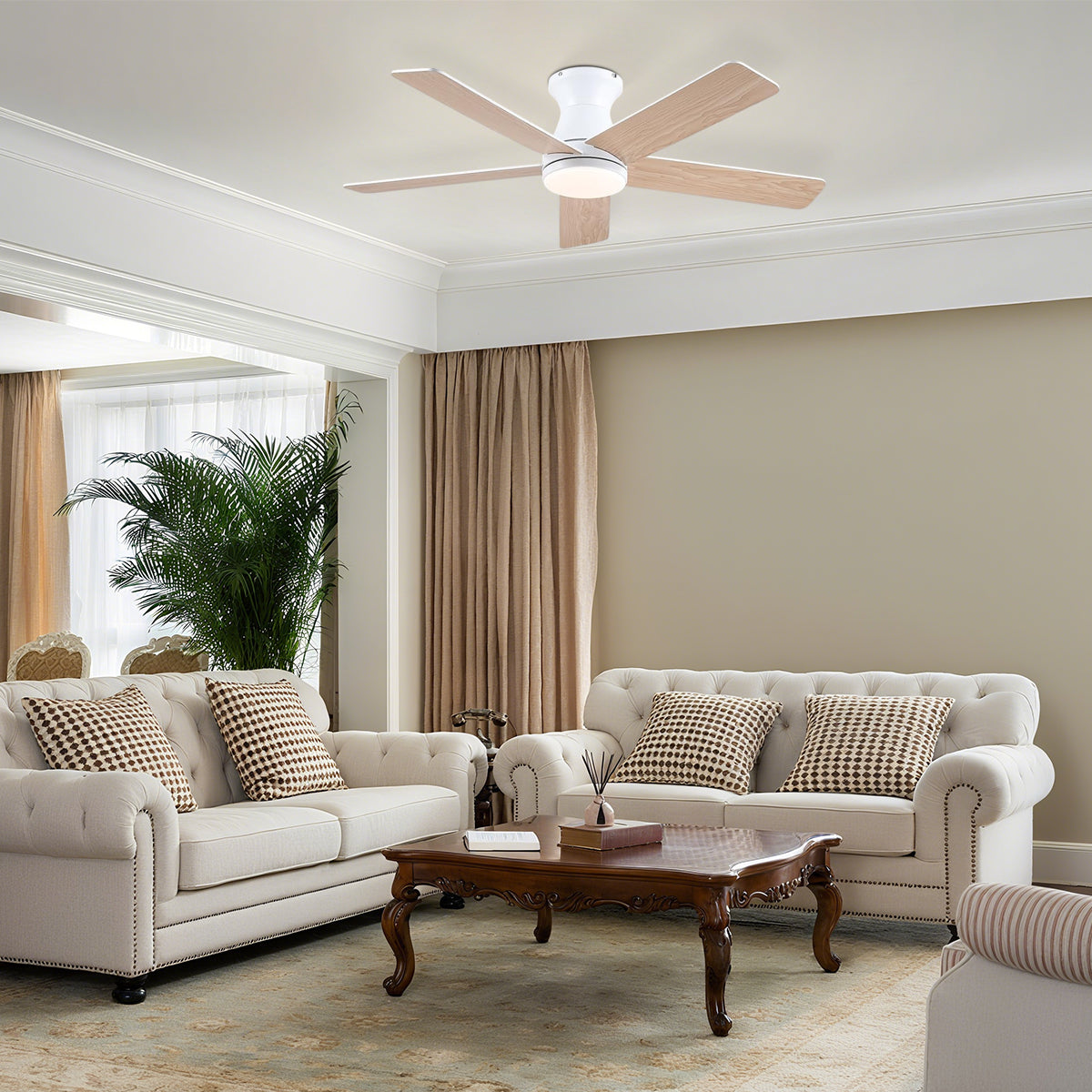 AeroElegance Ceiling Fans with Lights