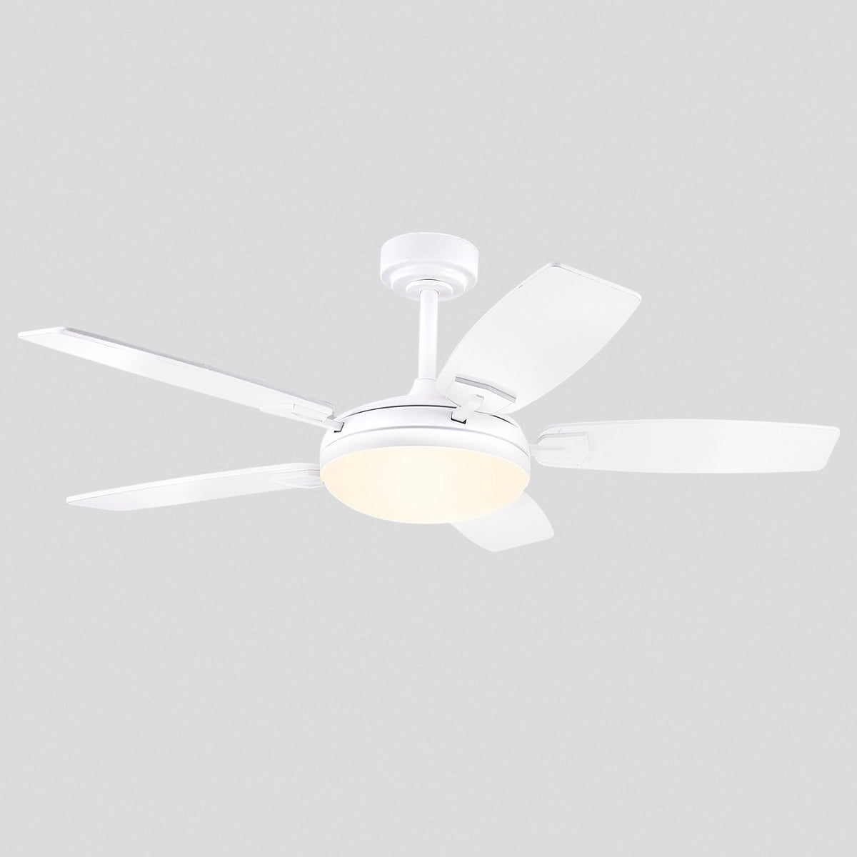Zephyra Ceiling Fans with Lights 52"