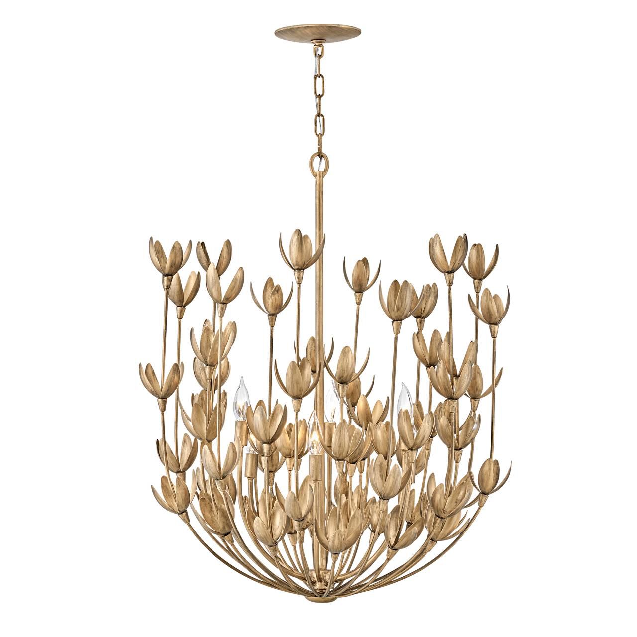 https://www.1800lighting.com/dw/image/v2/BCFP_PRD/on/demandware.static/-/Sites-masterCatalog_capitollighting/default/dw5f263f81/images/original/Hinkley-Lighting_30016bng.jpg?sw=800&amp;sh=800&amp;sm=fit
