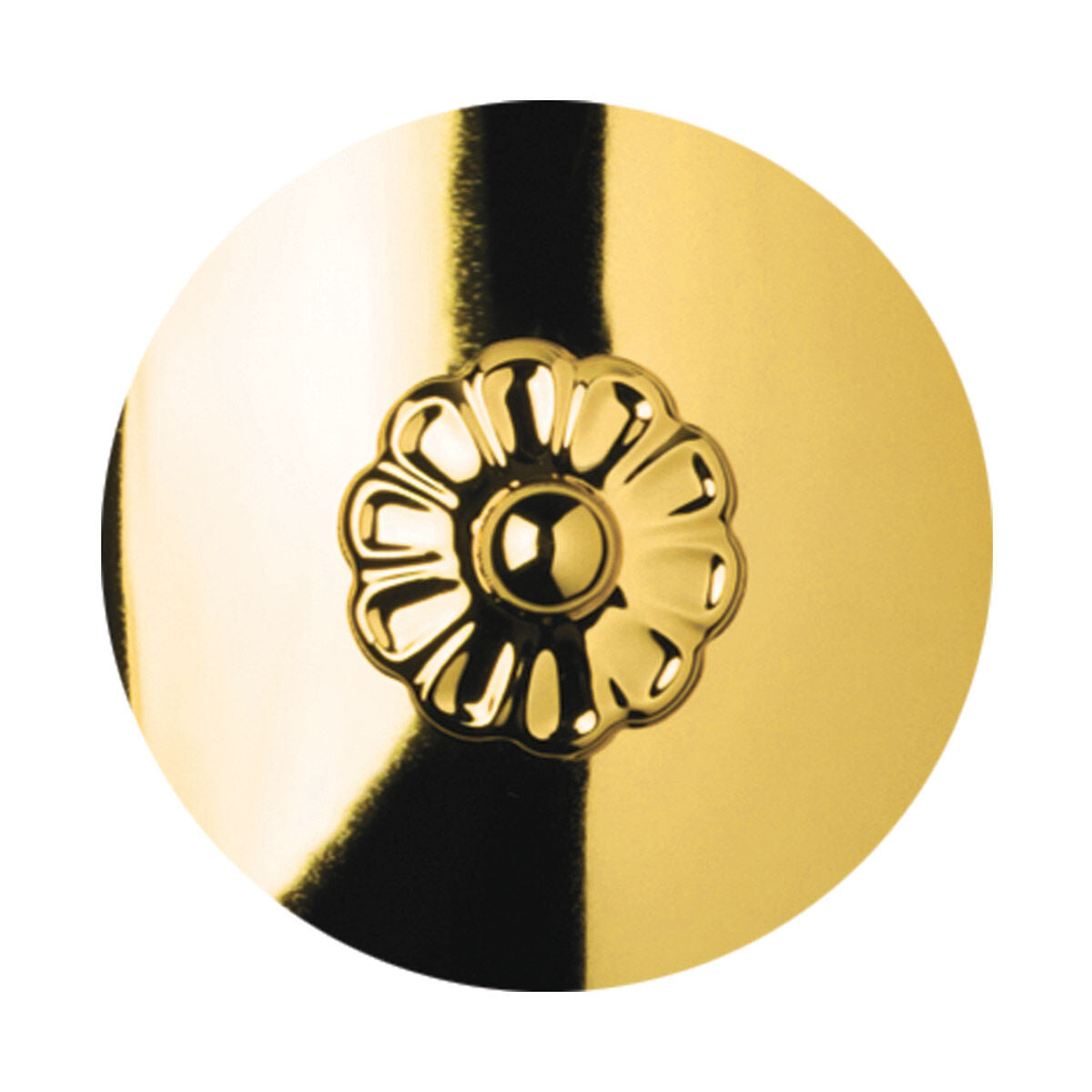 Coinora Century Chandelier 37"